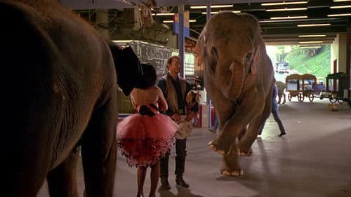 Die dicke Vera Bild 5