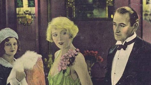 Silks and Saddles Bild 1