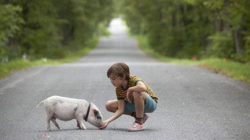 Hotell Gyllene Knorren - filmen Bild 1