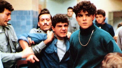 Für immer Mery Bild 7