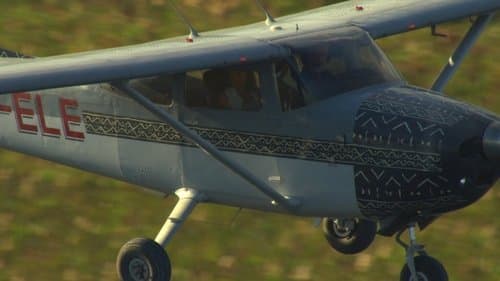 Big Cat Odyssey Bild 1