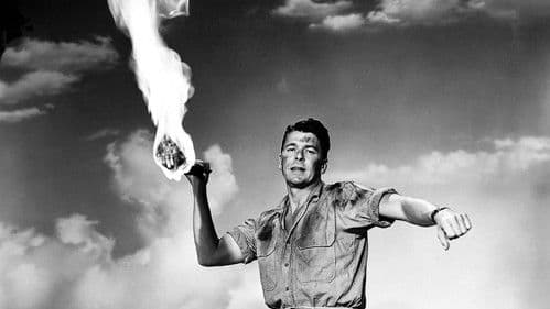 Tropische Abenteuer Bild 1