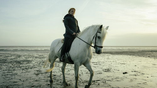 Die Flut - Tod am Deich Bild 2