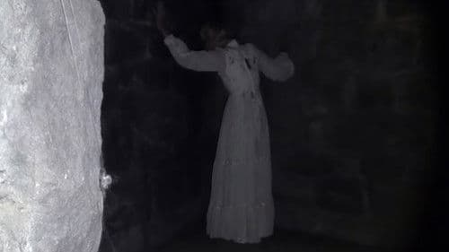 The Blair Witch Legacy Bild 1