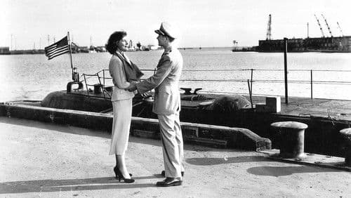 The Flying Missile Bild 1