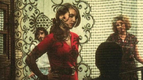 Die Büchse des Bettlers Bild 1