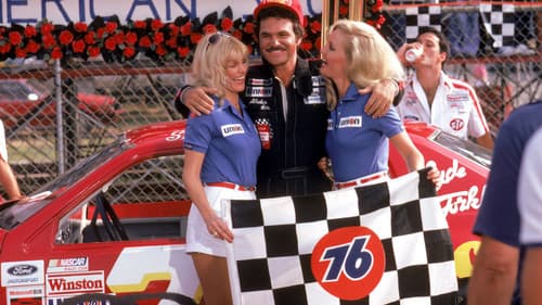 Der rasende Gockel Bild 2