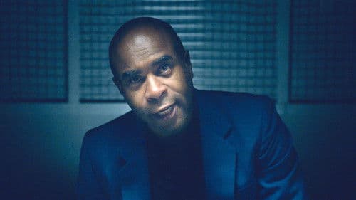 Liebe auf vier Pfoten Bild 4