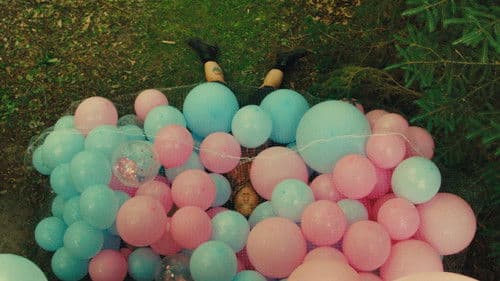 Gender Reveal Bild 2