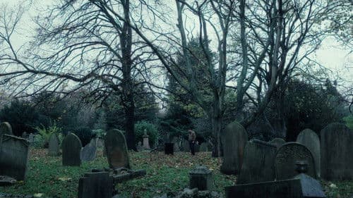 Marion's Lilies Bild 3