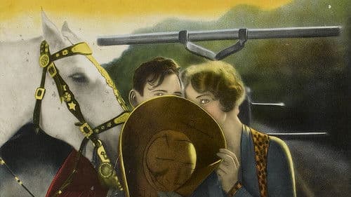 The Branded Sombrero Bild 1