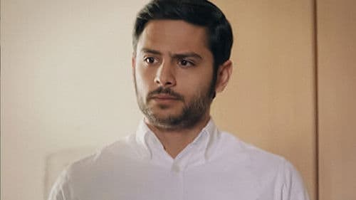 שבאבניקים Bild 7