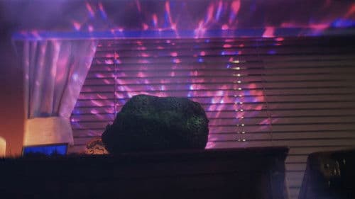 It's Something Else Bild 1