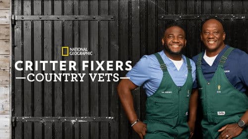 Critter Fixers: Country Vets Bild 7