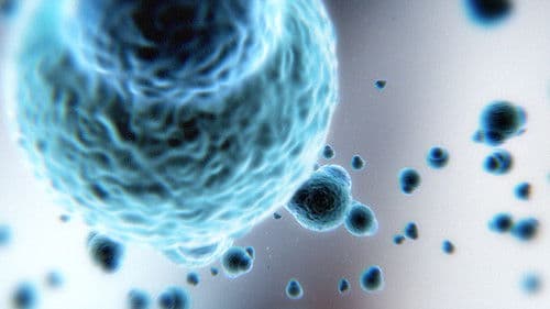 Breakthrough - Aufbruch in unsere Zukunft Bild 4