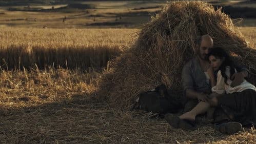 De tu ventana a la mía Bild 1