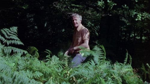 The Insomniac Bild 1