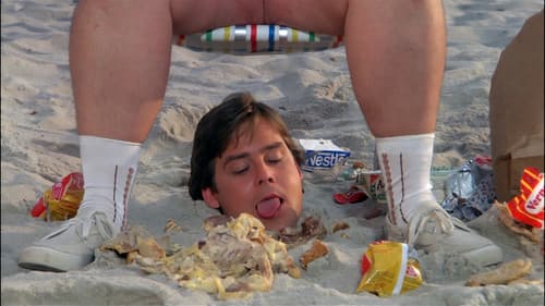 Ein ganz verrückter Sommer Bild 2