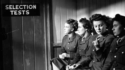 The Gentle Sex Bild 1