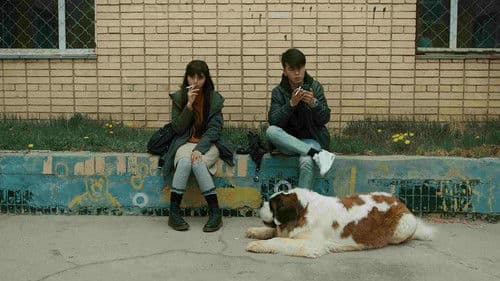 Худалдагч Охин Bild 5