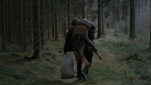 Des Teufels Bad Bild 6