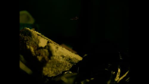 Genesis of evil Bild 2