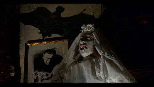 Dracula, l'éternel Bild 2