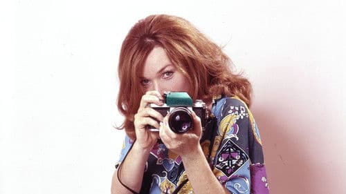 Shirley's World Bild 1