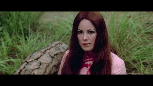 Django im Reich der gelben Teufel Bild 1