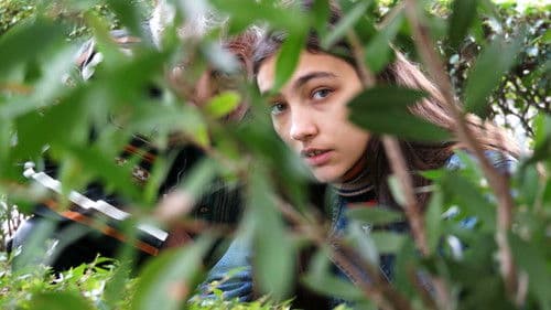 Divino tesoro Bild 1