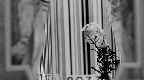 Rehearsals for Extinct Anatomies Bild 1