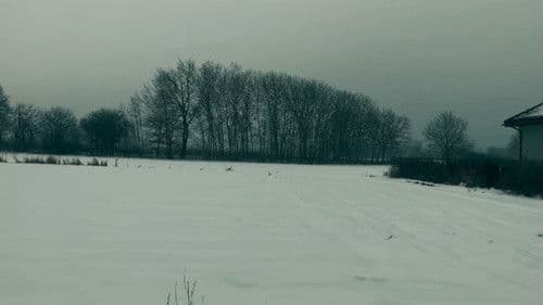 Escape to Music Bild 1