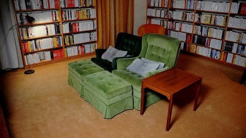 Bergmans video Bild 2