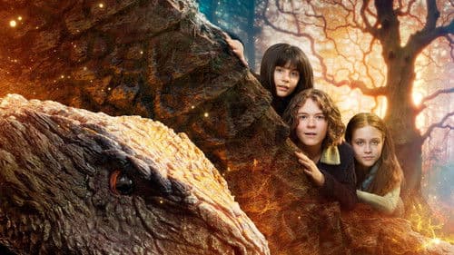 Valdes Jul - Vintermiraklet Bild 1