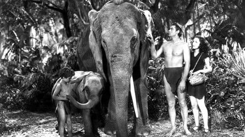 Tarzan und sein Sohn Bild 3