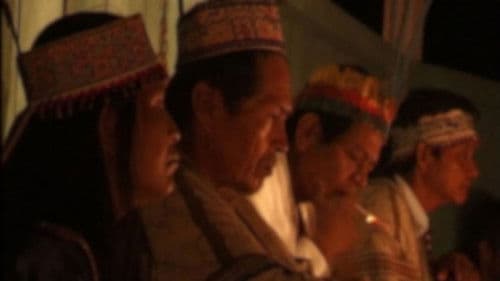 L'Ayahuasca, le serpent et moi Bild 1