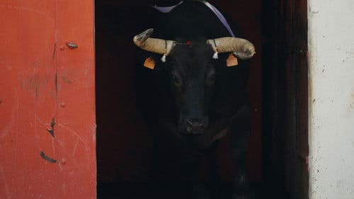 Une jeunesse française Bild 3