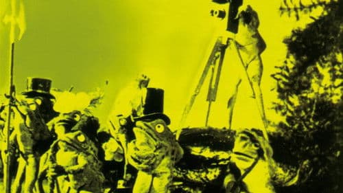 Les Grenouilles qui demandent un roi Bild 1