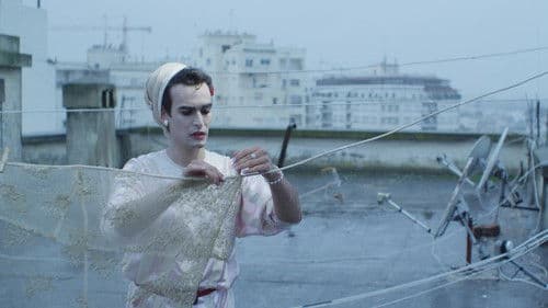 صفاء الكبيرة Bild 1