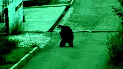 Орлон тоглогч Bild 8