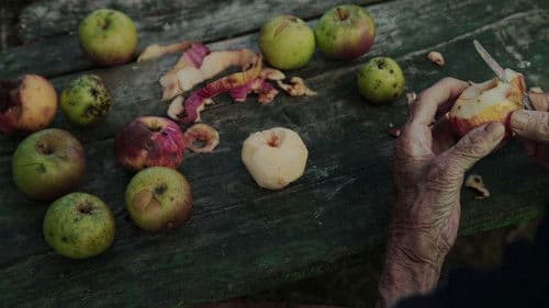 A sad se spušta večе Bild 2