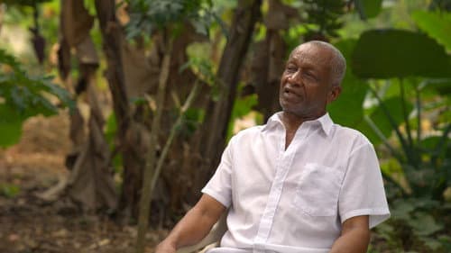 Mamá Tingó: Memoria viva de la tierra dominicana Bild 3