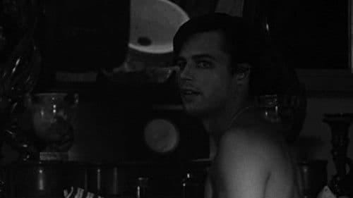 Sandra - Die Triebhafte Bild 4