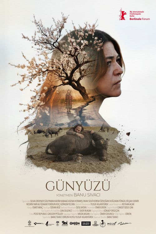 Günyüzü