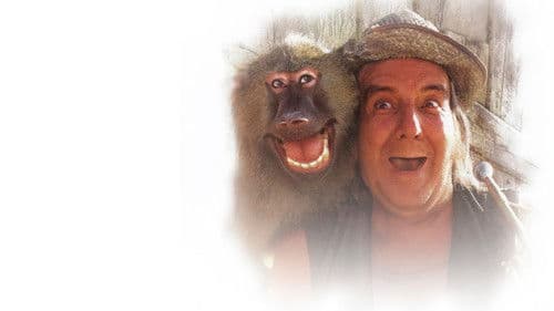 Pápa Piquillo Bild 2