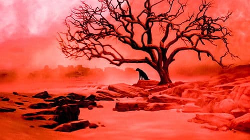 Katzenmenschen Bild 3