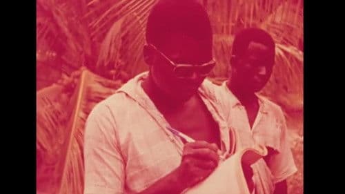 L'Afrique et la recherche scientifique Bild 2