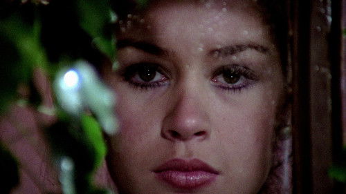 The Blood Spattered Bride Bild 3