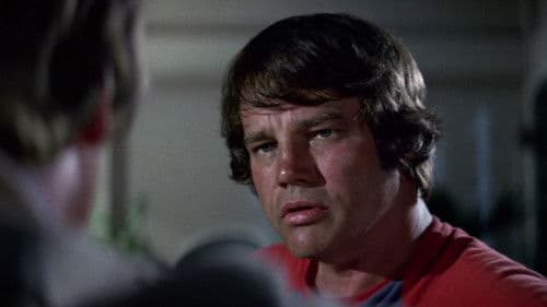 Checkered Flag or Crash Bild 1