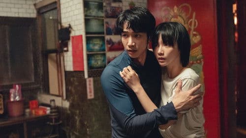 山忌 黃衣小飛俠 Bild 1